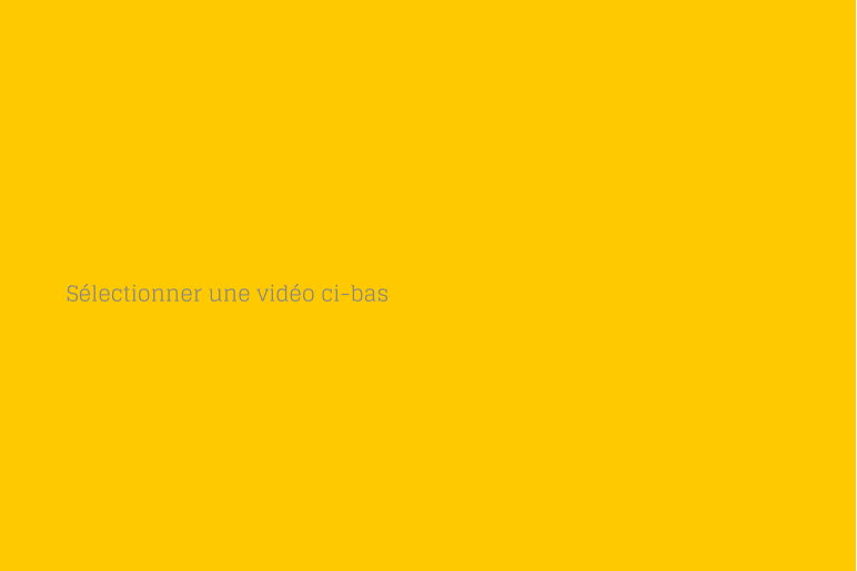 Sélectionner une vidéo ci-bas