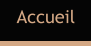 Accueil